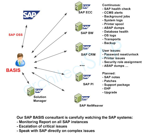 basic sap functions